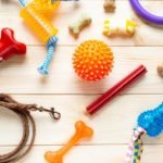 How Chew Toys Can Help Your Doggo?