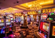 How-You-Can-Play-The-Best-Casinos-Near-East-Lansing-MI-on-contributionblog