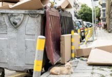 Decluttering-Homes-Made-Easy-With-Residential-Dumpster-Rentals-on-contributionblog