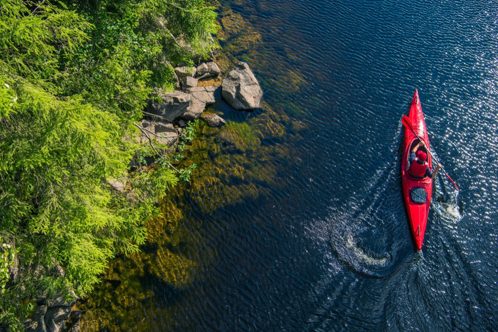 Tips for a Dog-Friendly Kayak on Lake Lanier