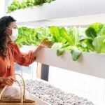 Rearranging-Your-Indoor-Gardening-With-Hydroponics-Systems-on-contributionblog