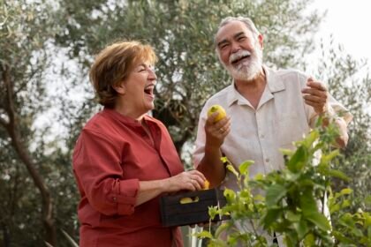best natural hormone replacement therapy