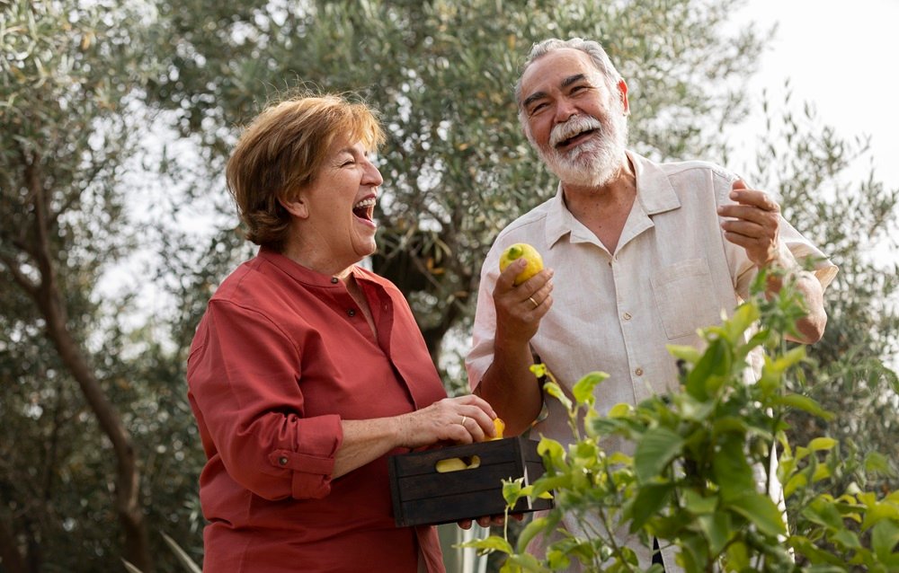 best natural hormone replacement therapy